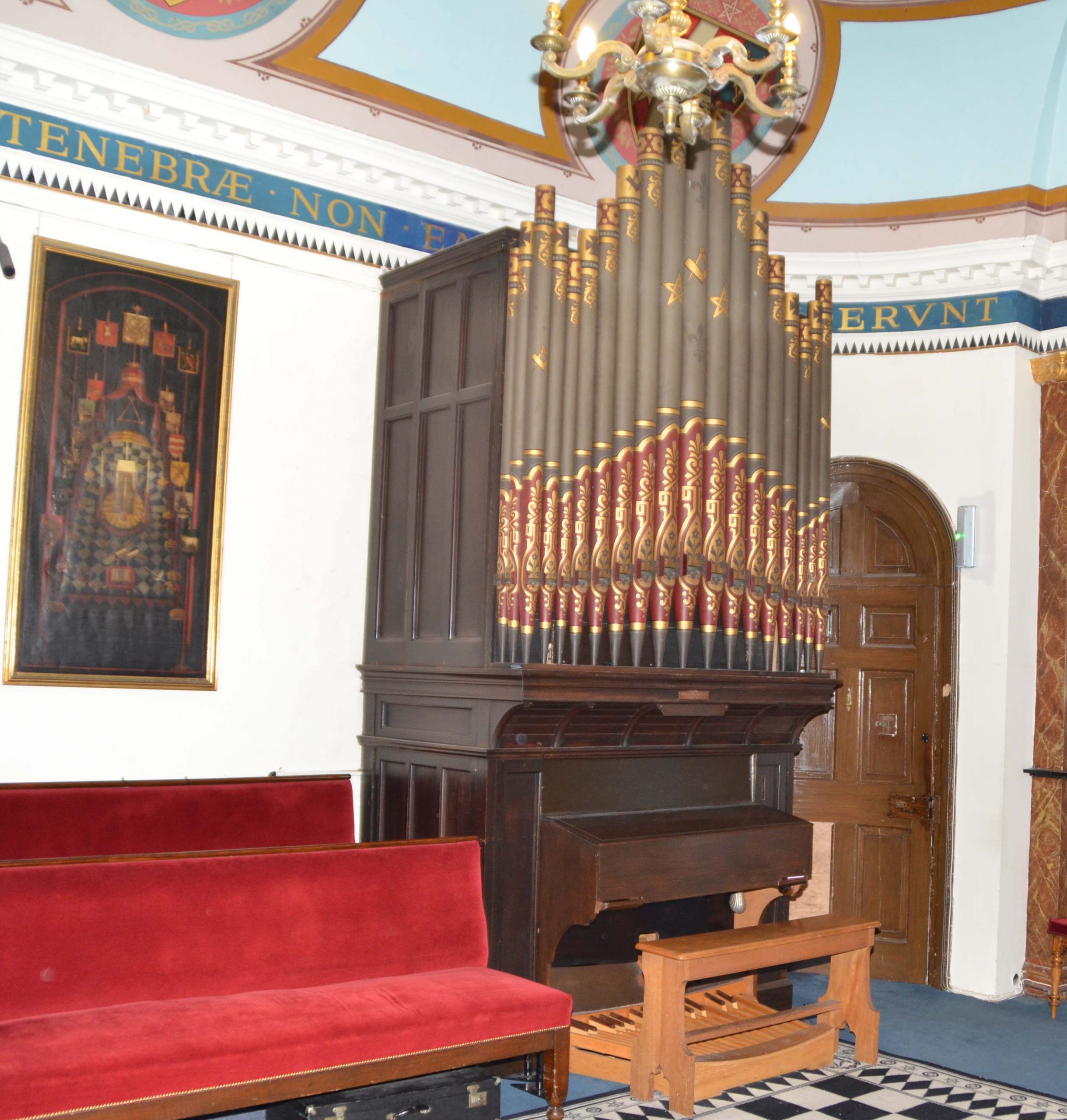 Cropped Organ